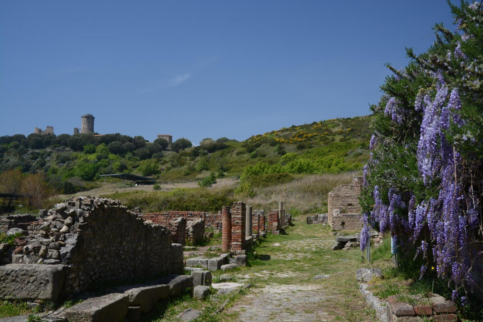 Agriturismo La Petrosa Ceraso エクステリア 写真