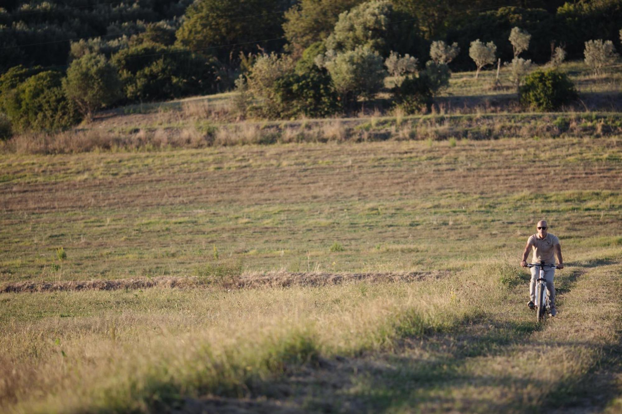 Agriturismo La Petrosa Ceraso エクステリア 写真
