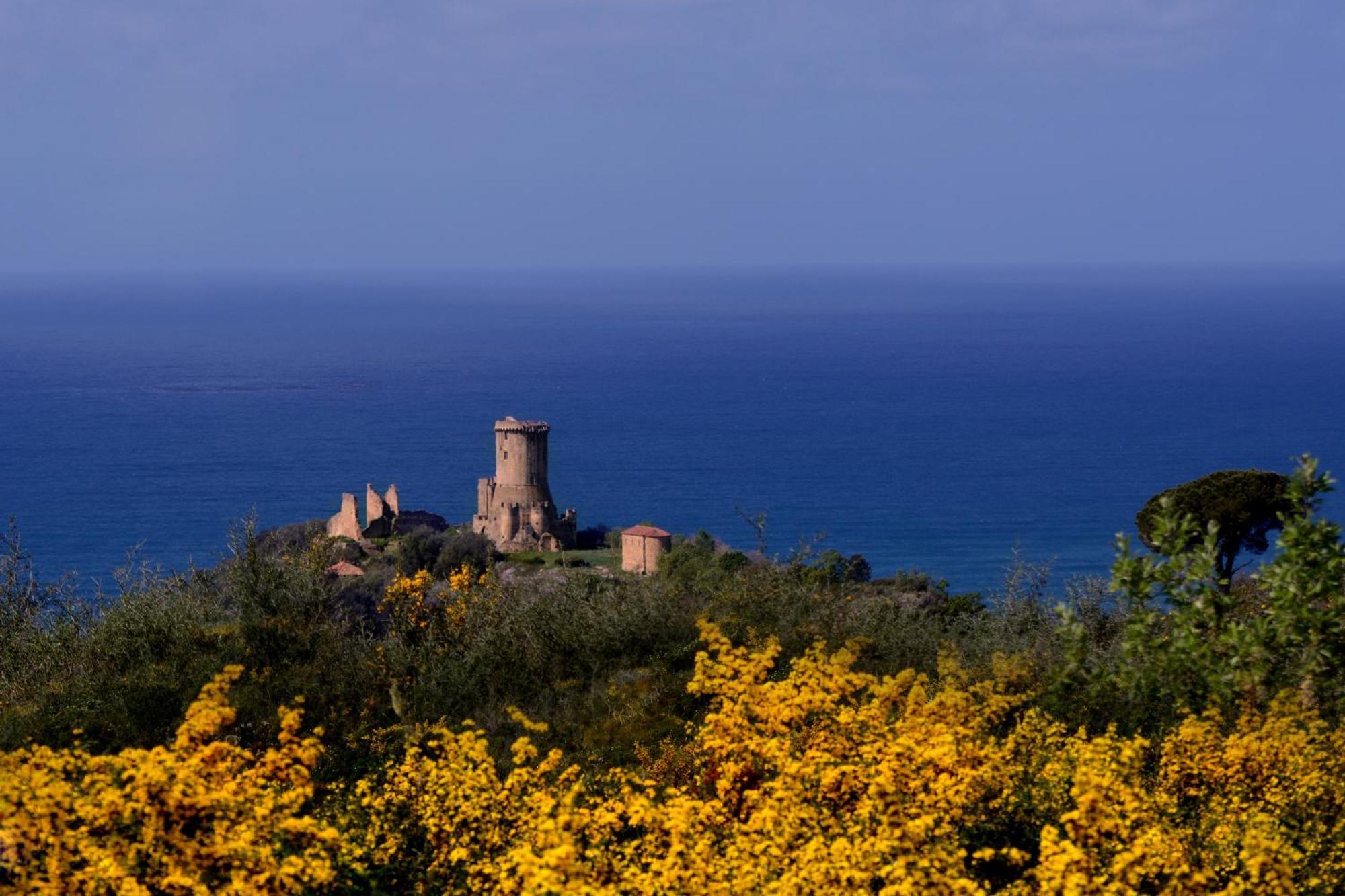 Agriturismo La Petrosa Ceraso エクステリア 写真