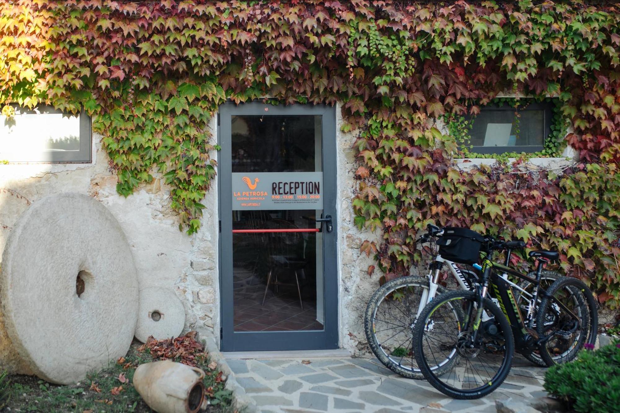 Agriturismo La Petrosa Ceraso エクステリア 写真