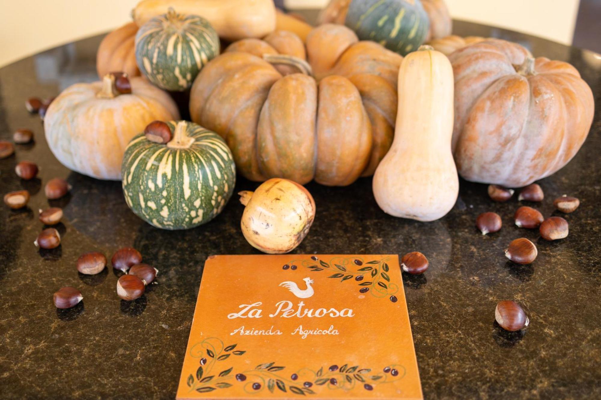 Agriturismo La Petrosa Ceraso エクステリア 写真