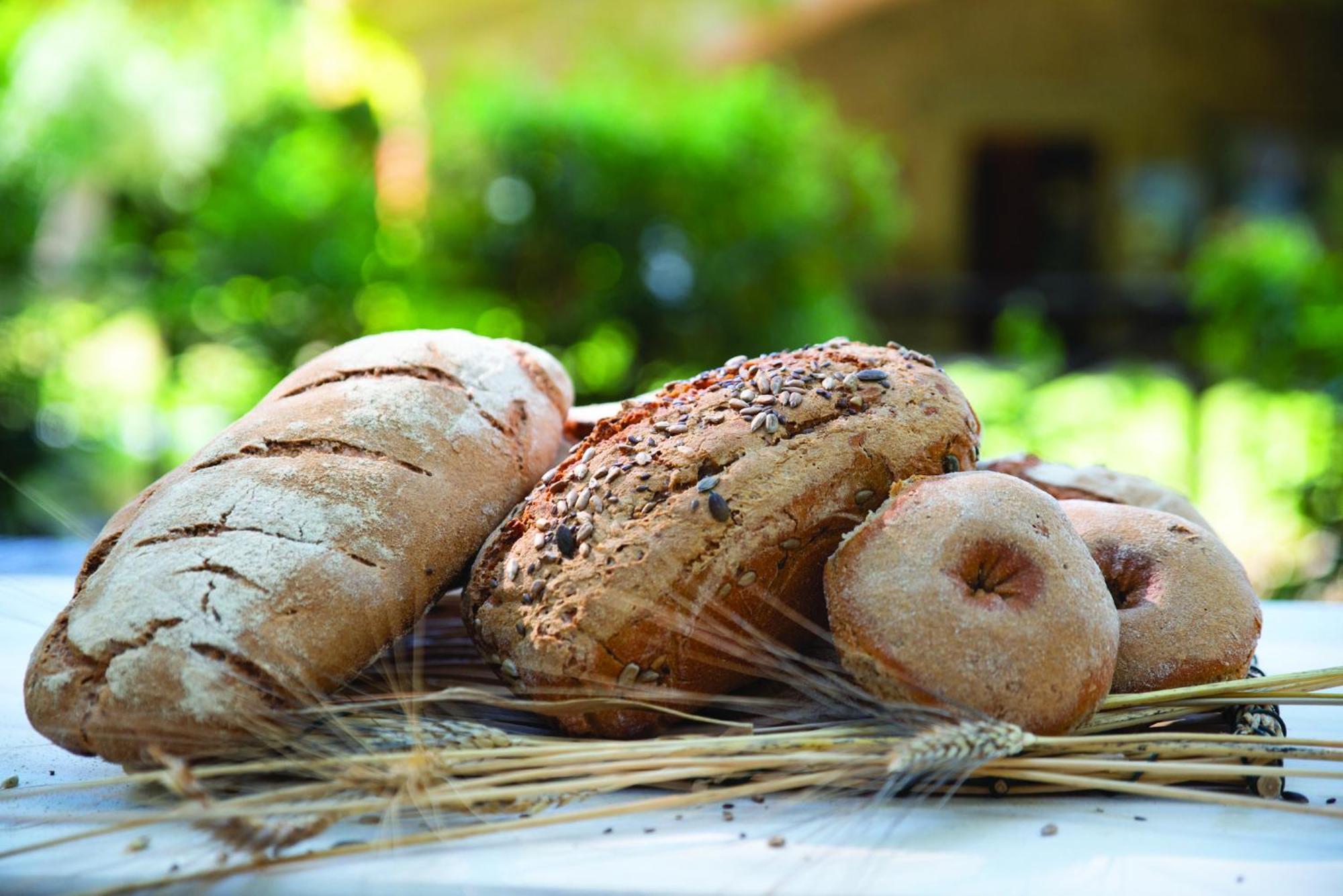 Agriturismo La Petrosa Ceraso エクステリア 写真