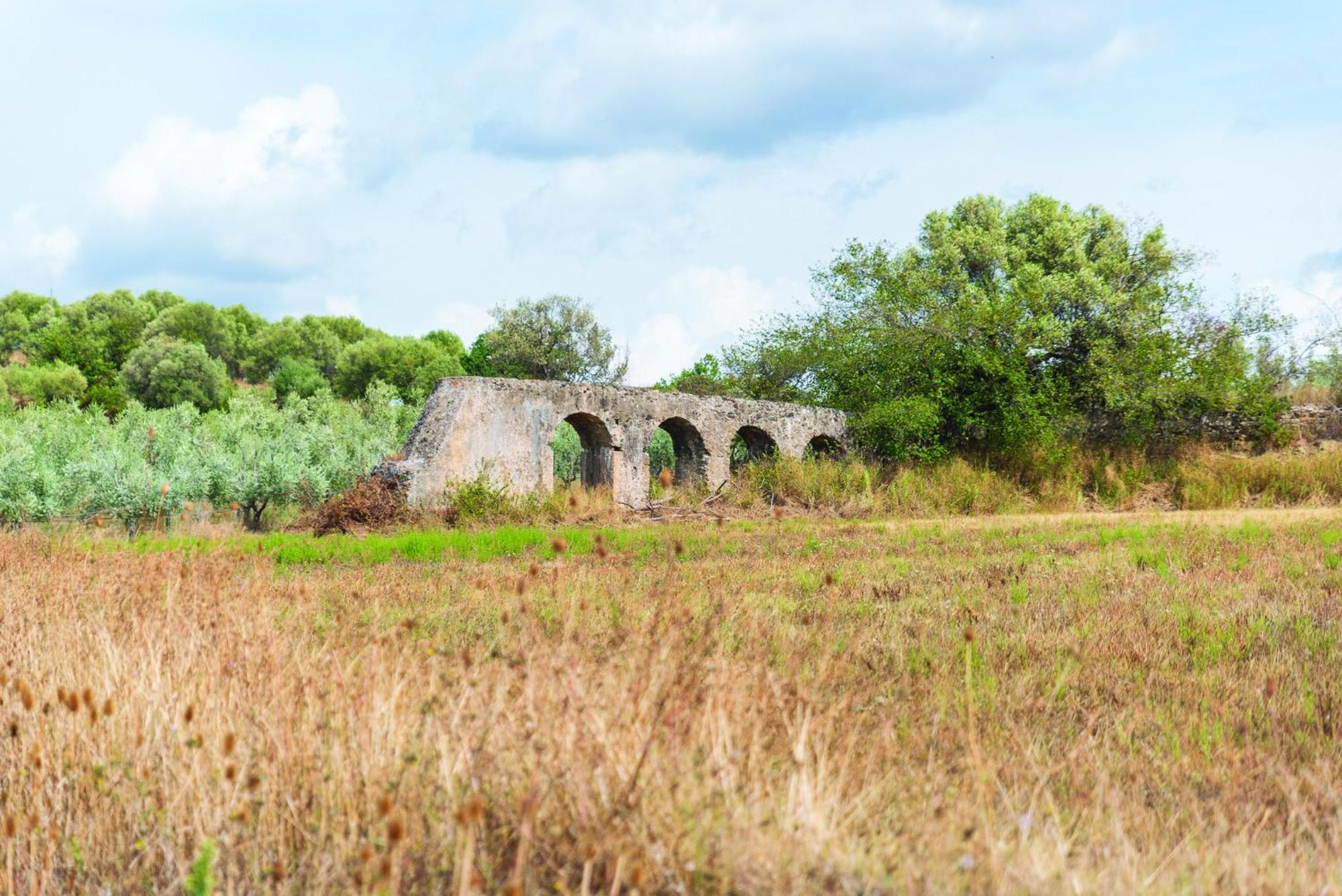 Agriturismo La Petrosa Ceraso エクステリア 写真