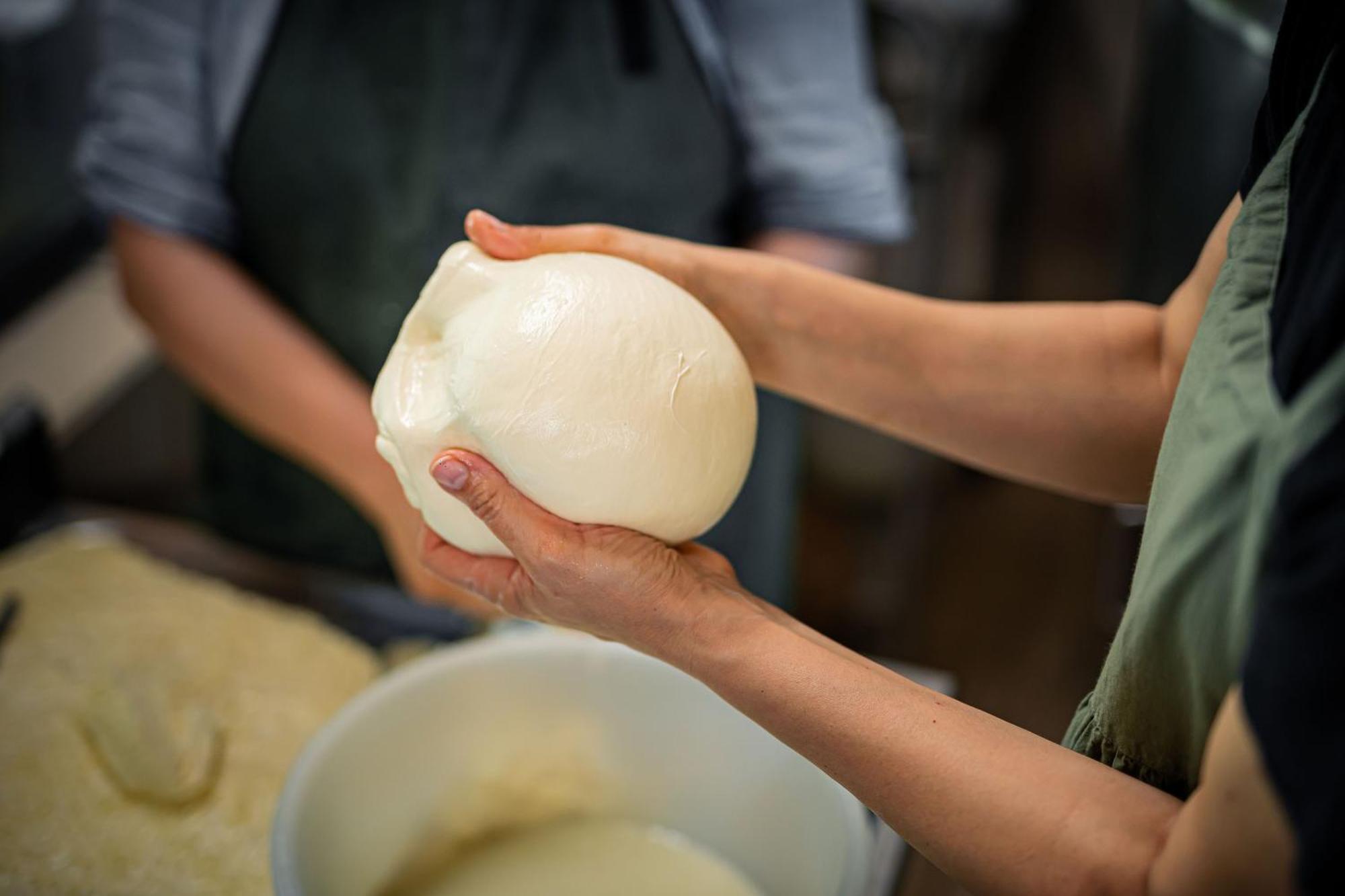 Agriturismo La Petrosa Ceraso エクステリア 写真