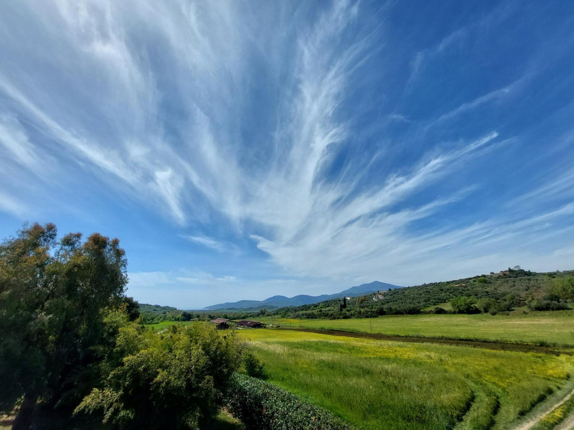 Agriturismo La Petrosa Ceraso エクステリア 写真